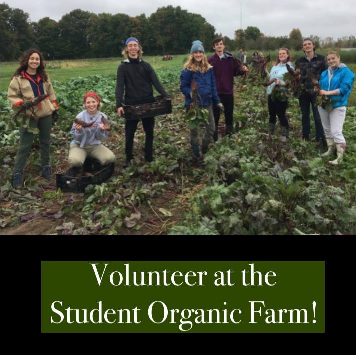 48369770_1825162590926356_6602890860386320384_n