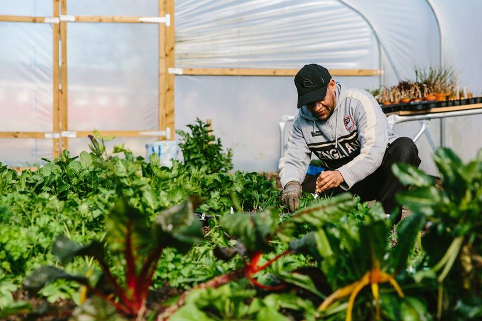 48389694_10157045334438708_3897418238249664512_n