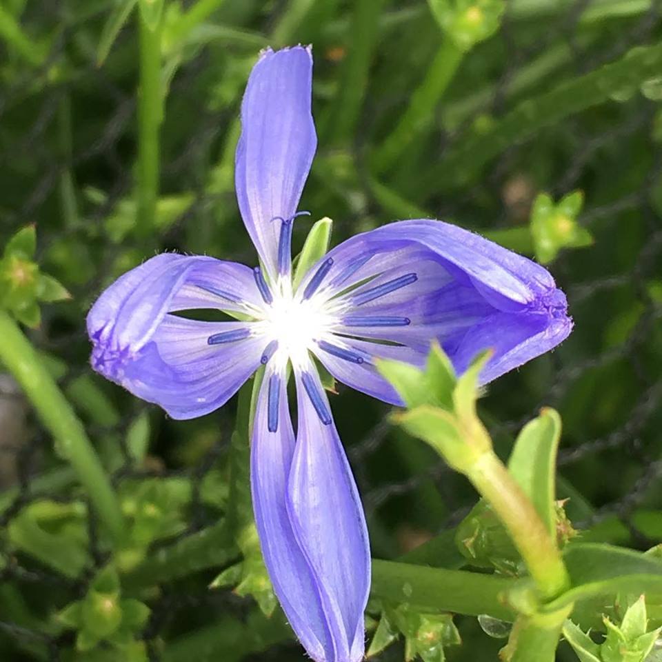 48389793_10156878020814600_286191280298393600_n