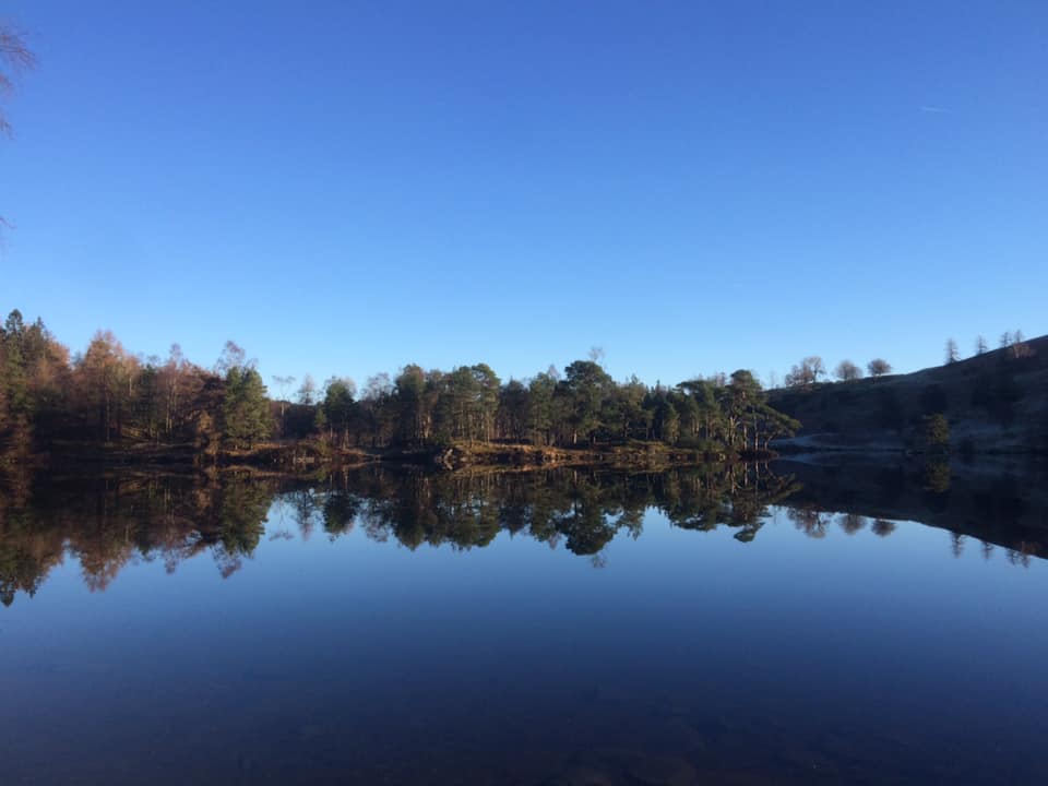 48408068_10157050761308586_5066704483082305536_n