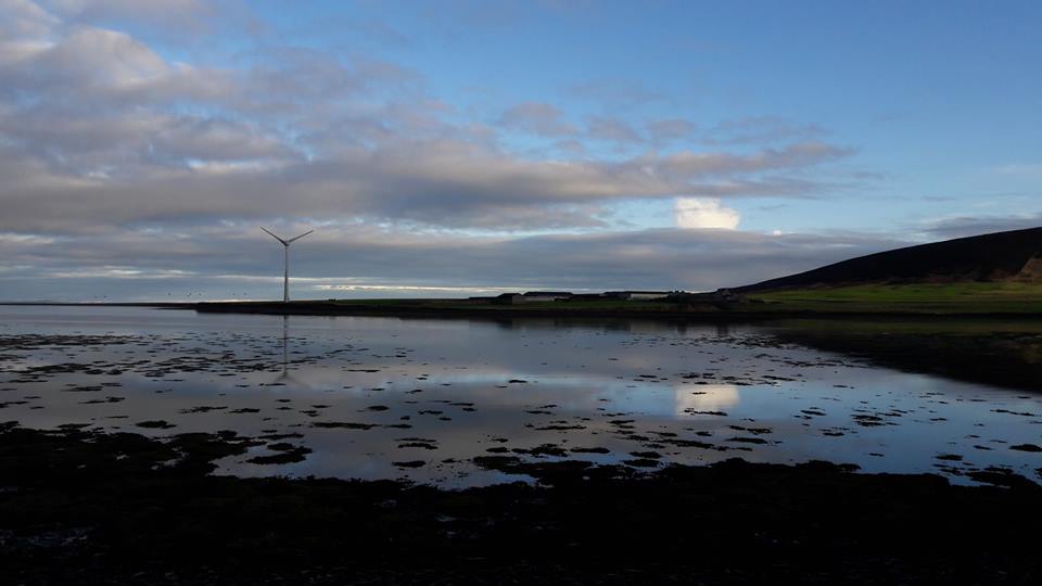 48410959_2198826023495446_2465333213841588224_n 48410959_2198826023495446_2465333213841588224_n