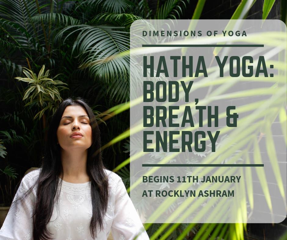 48413201_2624114504267084_6093967455200215040_n