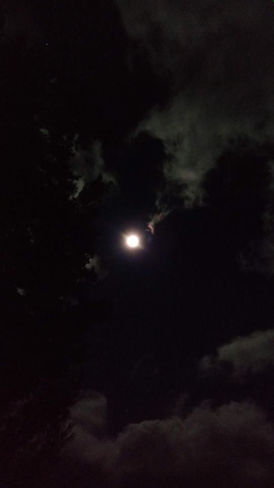 48415804_2012279032160285_3858445915459158016_n