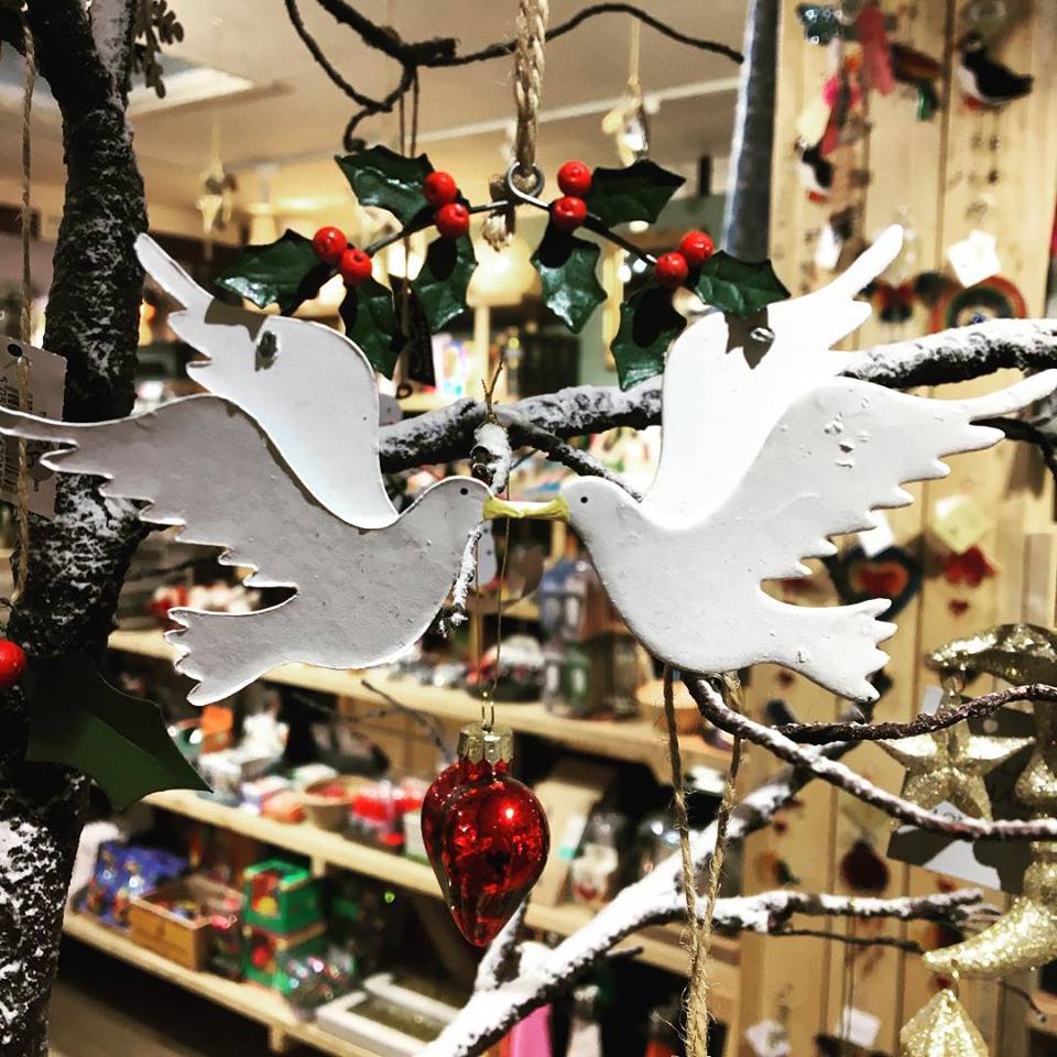 48429387_1960984410645755_4448407553860173824_n