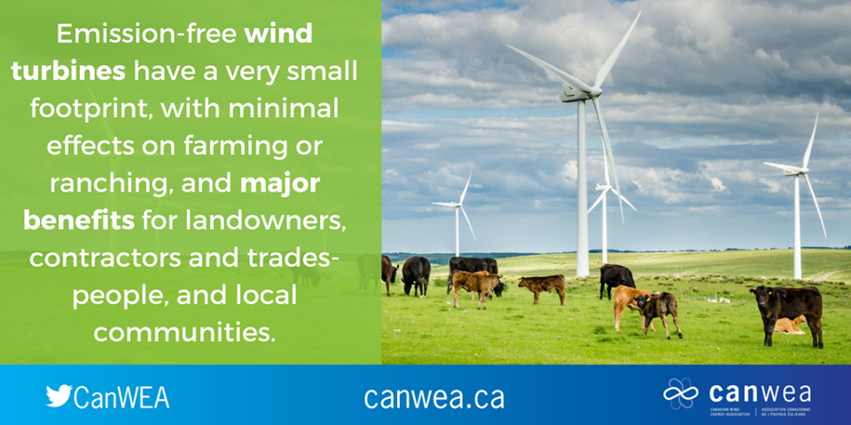 48923829_1958547547514358_4639084005650595840_n