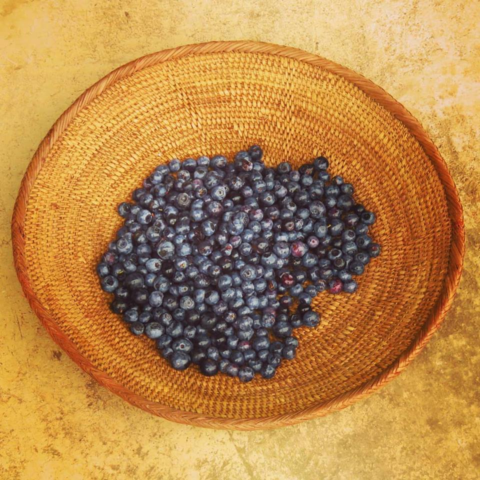 48926311_2056596464419252_2962524847139192832_n 48926311_2056596464419252_2962524847139192832_n