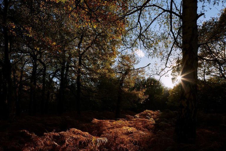 St Michaels Environmental Education Centre
