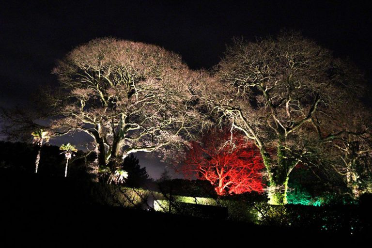 The Lost Gardens of Heligan