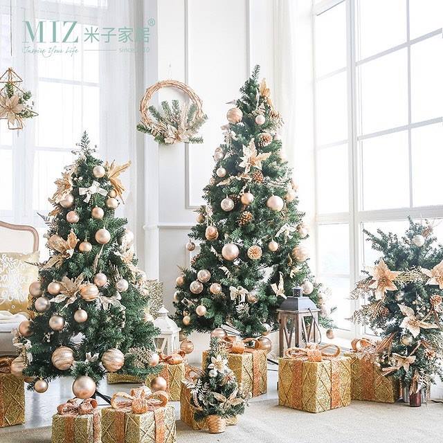 49074636_2271536526232344_1831092979469647872_n