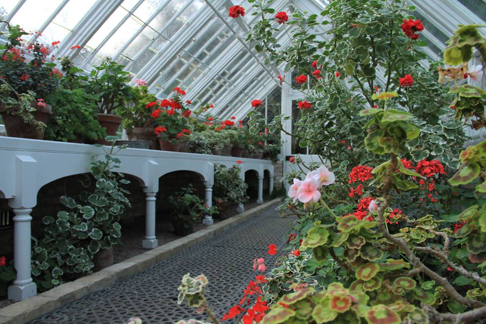 49082981_2077628518961545_4682830614087335936_n