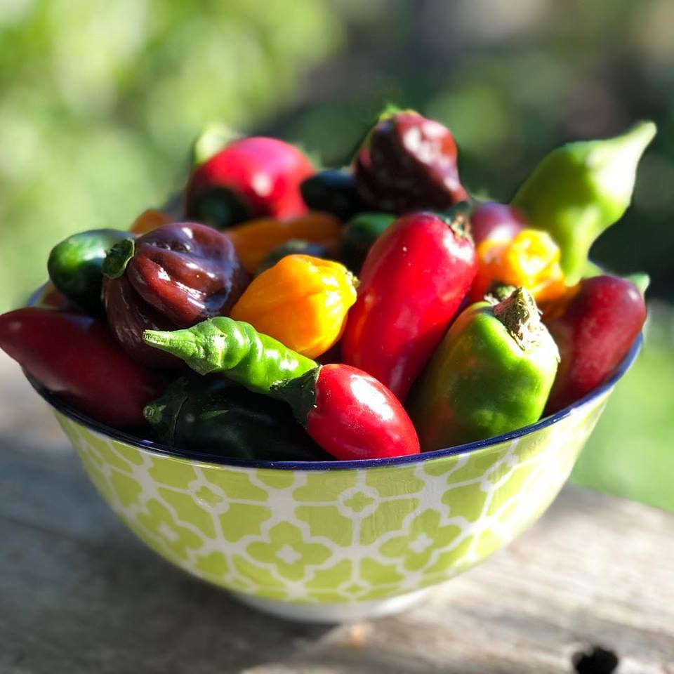 49132403_2465311003542680_7922064295548944384_n 49132403_2465311003542680_7922064295548944384_n