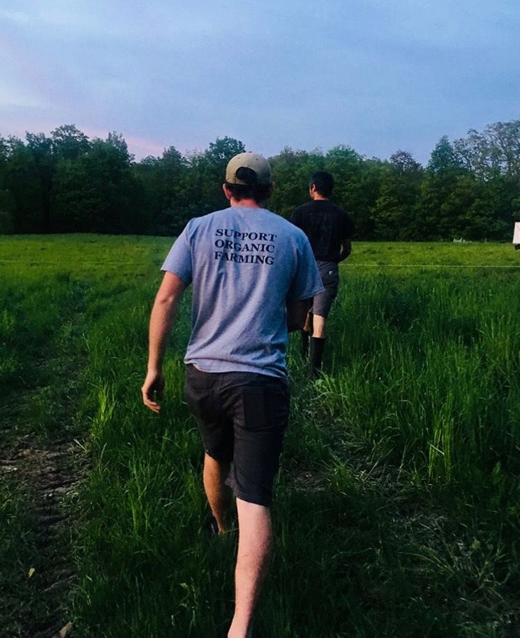 49147964_10156815440942822_2420593591786143744_n 49147964_10156815440942822_2420593591786143744_n