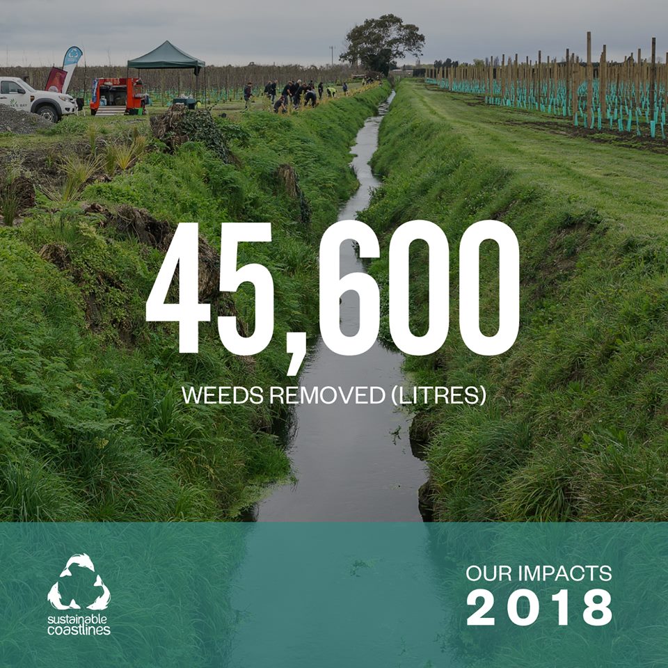 49476278_10156093054492066_6758660094327521280_n