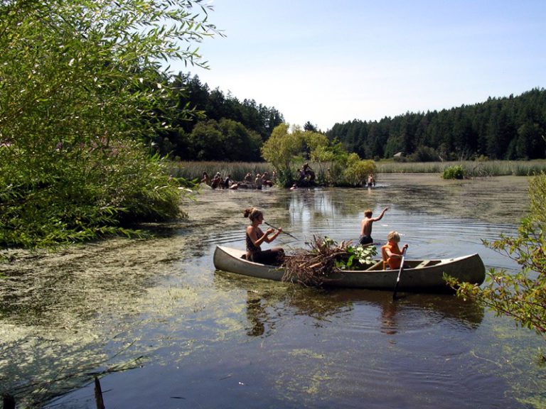 Bullock's Permaculture Homestead
