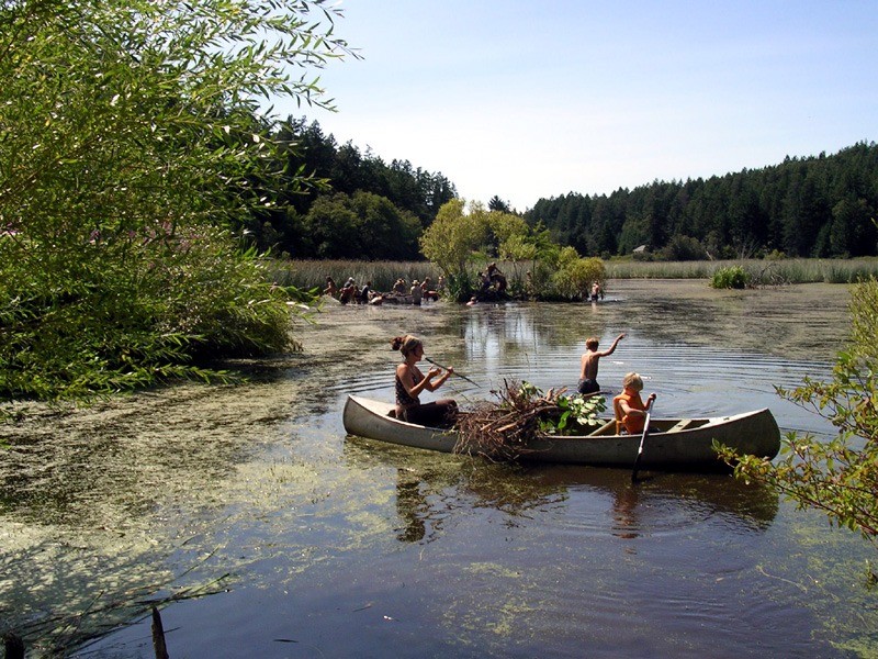 5_chinampas_marsh