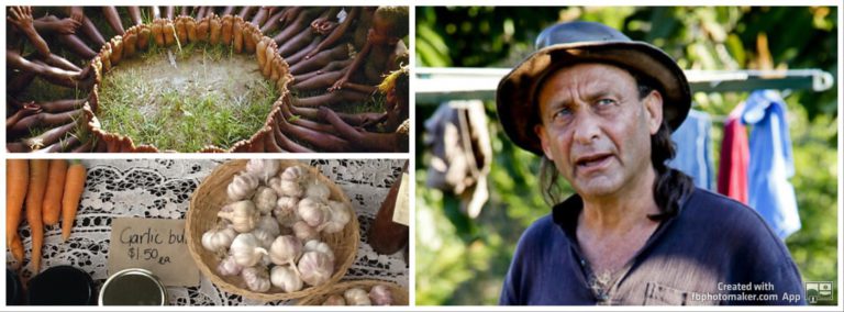 Brogo Permaculture Gardens