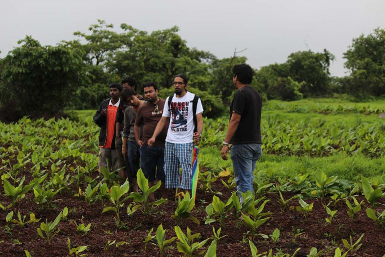 Farm of Happiness Agro Tourism