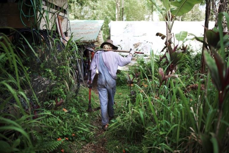 13012782 1024675617586991 3095960895552111726 n 768x512