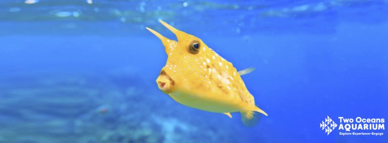 15128881 10155559246901110 7890742132496381330 o 768x284