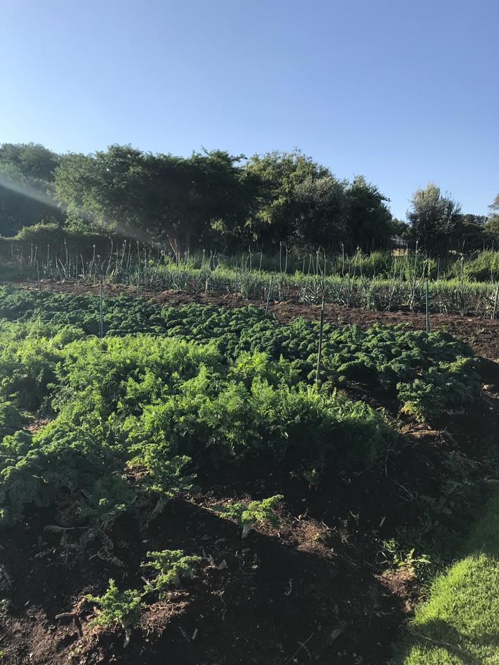 23658524 1998928343457218 6196839352076812893 n