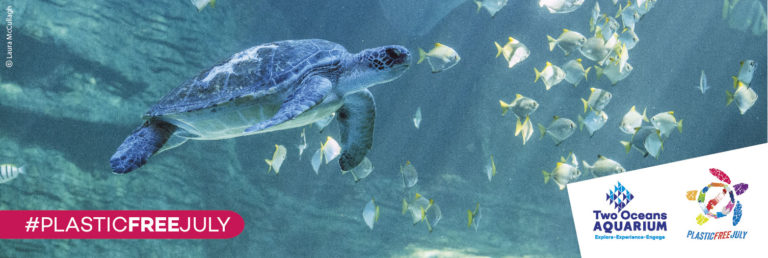 36450354 10157648325536110 7381891326792433664 o 768x258