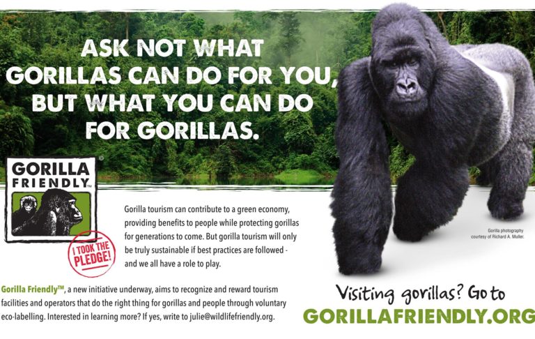 48364109 10161087551975317 1348393149944299520 o 768x486