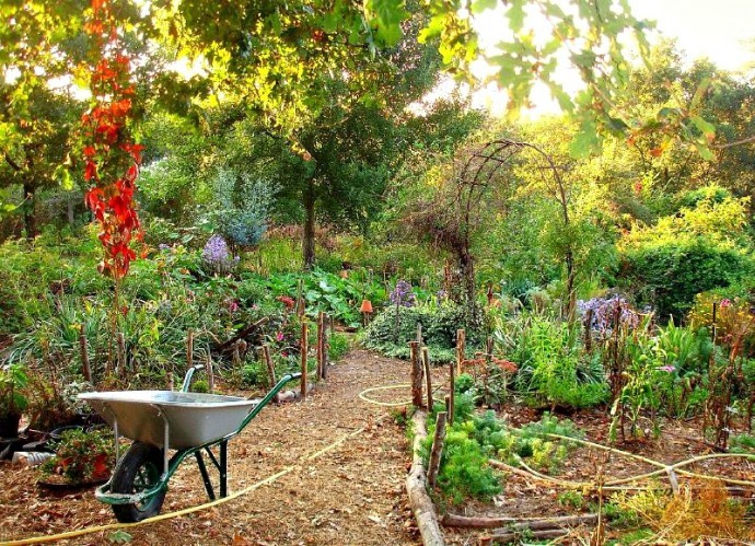 Permaculture