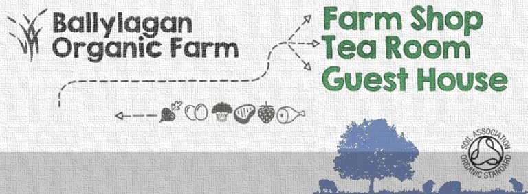 ballylagan2 768x283