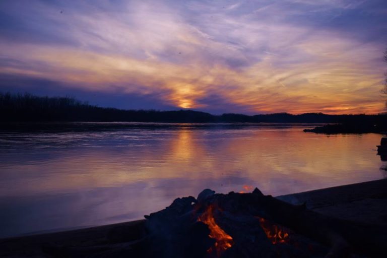 EcoArtFestImage2 768x512