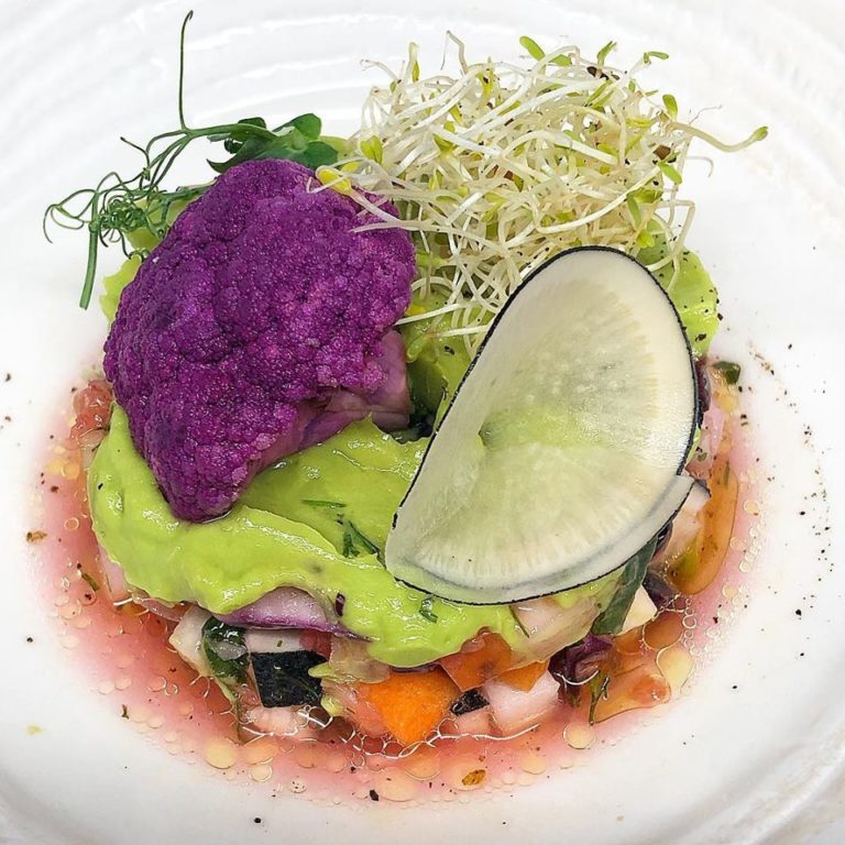 VeganGorilla Image2 768x768