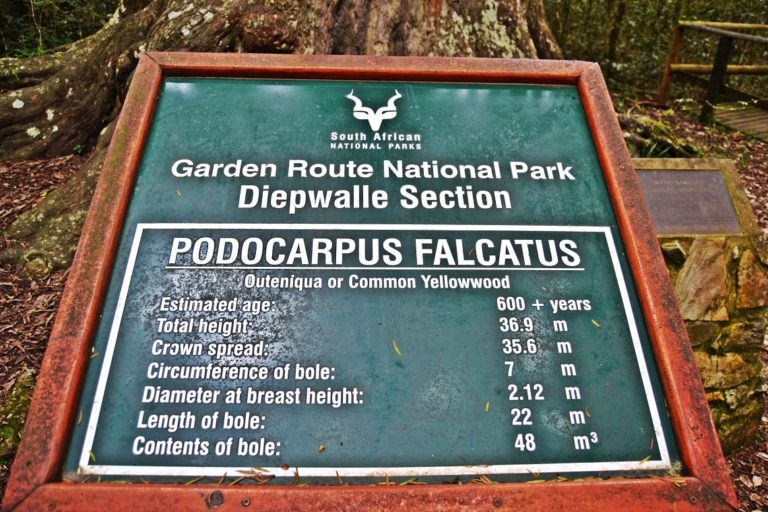 bigtreestats 768x512