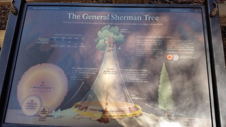 genshermanstats 768x432