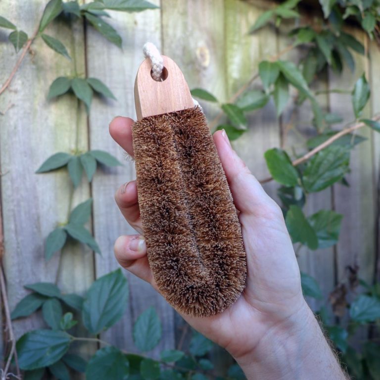 Biome Image1 2 768x768