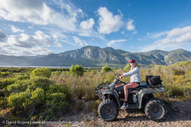 Mosaic Image3 768x512