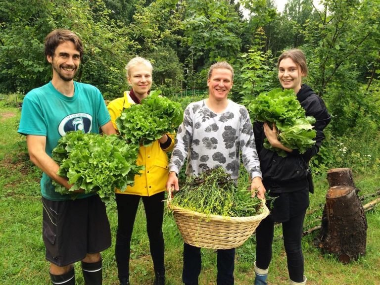 Nolla Image3 768x576