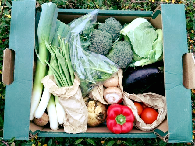 OrganicPantry Image3