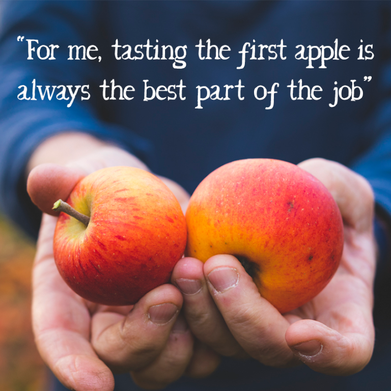 Riverford Image2 768x768