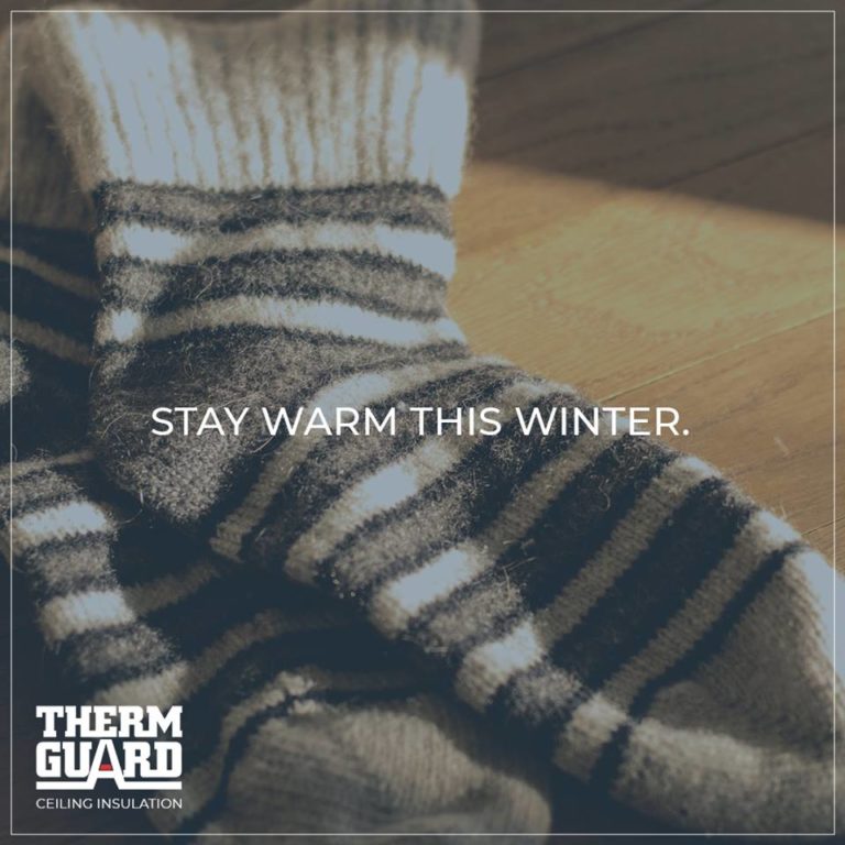 Thermguard Image3 768x768