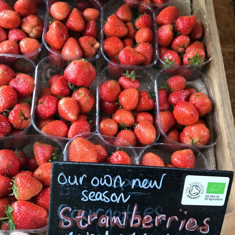 Tolhurst Image1 768x768