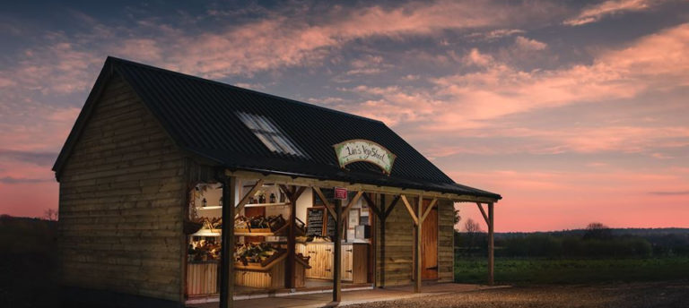 Tolhurst Image3 768x344