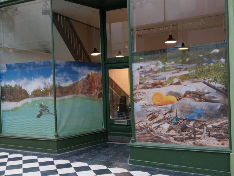 bambooturtle3 768x576