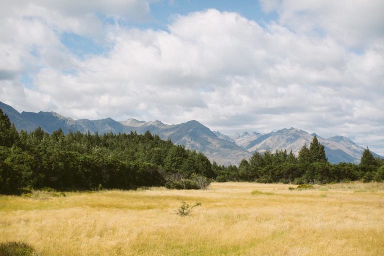 Aroha Image1 768x511