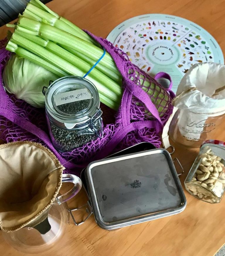 EcoCollective Image2 768x873