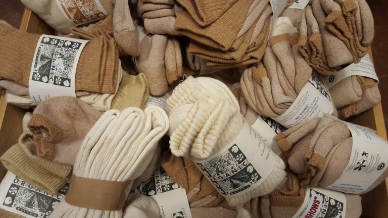 Ecowise Image2 768x432