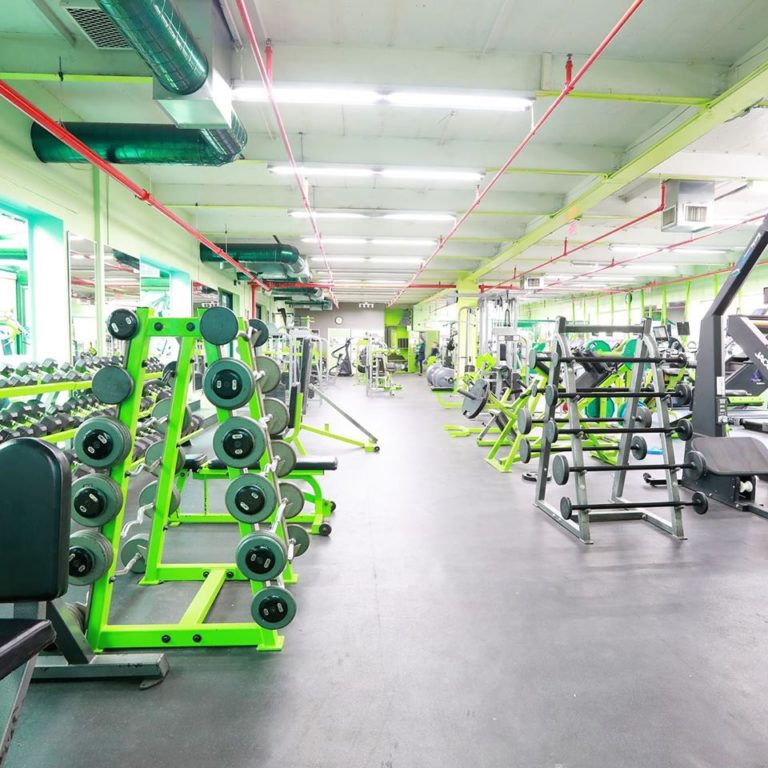 GreenFitness Image1 768x768