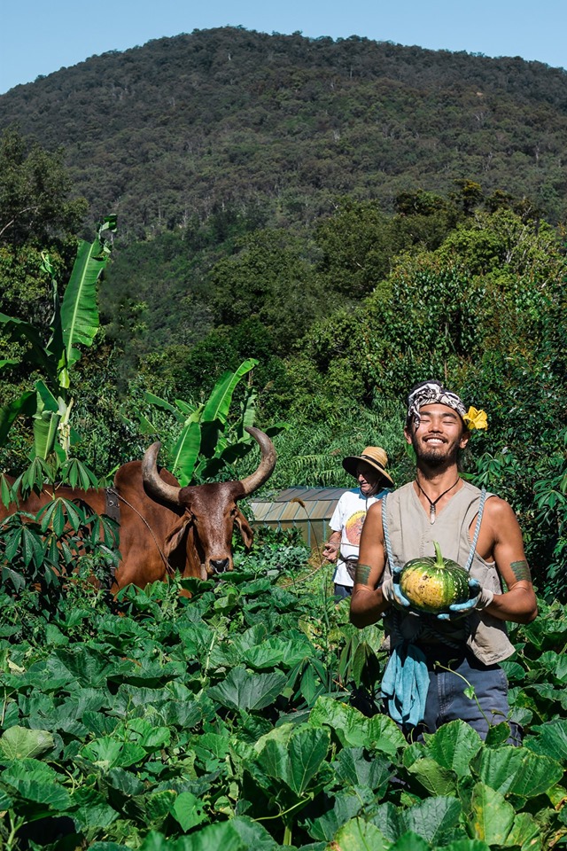 KrishnaVillage Image2