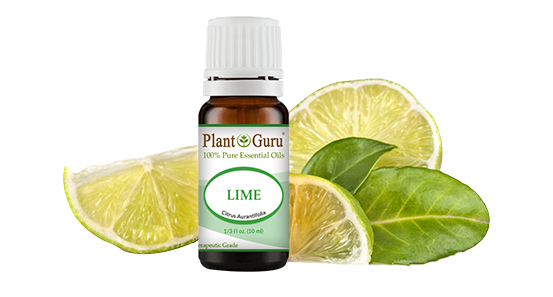 Natural Organic Waxes Plant Guru