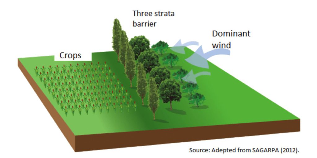 Layered windbreak design