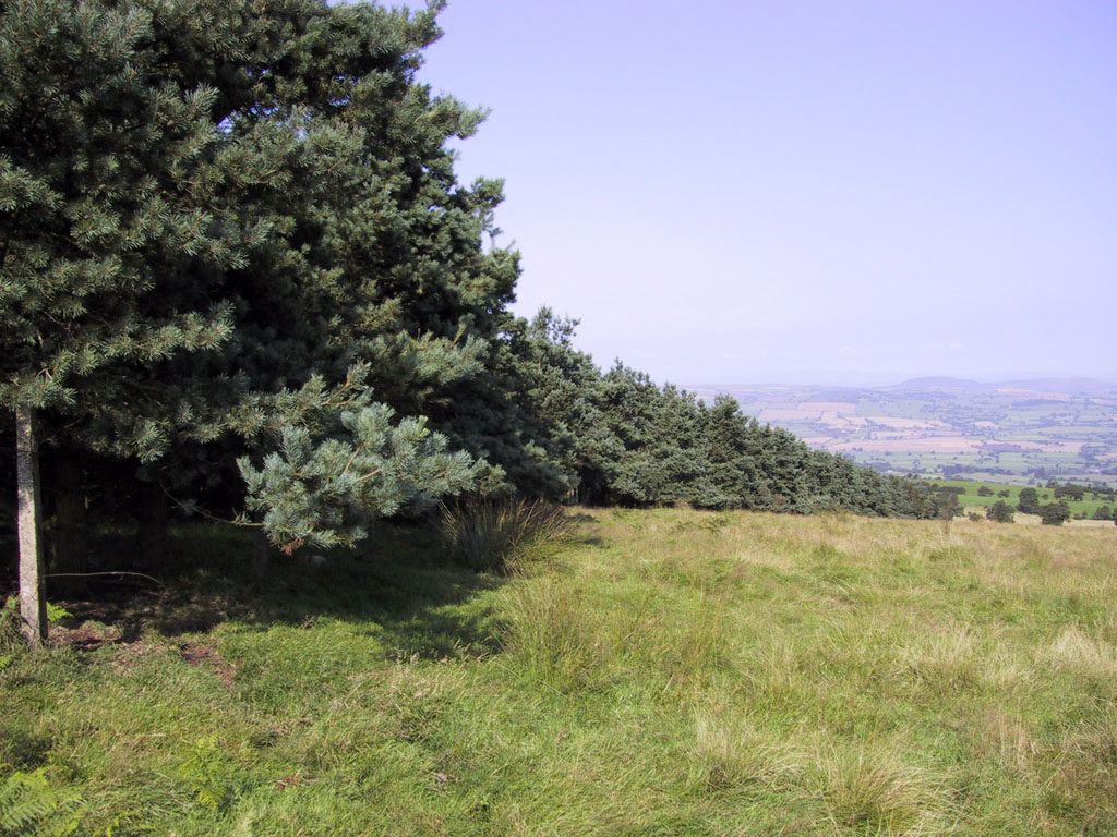 Windbreak planning & design