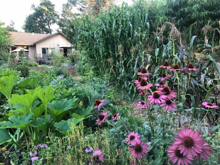 43763009 1381035698699355 8500781288662237184 n 768x576